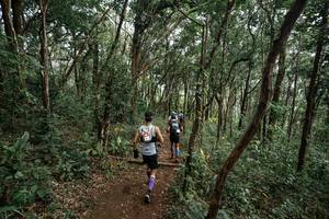 BIB: 
                            <button type="button" onclick="openModal(22795382)" class="btn btn-primary btn-sm float-right btn-popup" data-toggle="modal" data-target=".modal-high-quality">
                        <i class="fas fa-shopping-cart"></i> Add to Cart
                    </button>
                                            <button type="button" onclick="isThisMe(22795382, true)" class="btn btn-success btn-sm float-right btn-popup btn-isme hidden" data-toggle="tooltip" data-placement="bottom" title="นี่คือรูปของคุณใช่ไหม คลิกที่นี่เพื่อเอาเข้าอัลบั้ม">
                        <i class="fas fa-plus"></i> Add to album
                    </button>
                    <button type="button" onclick="isThisMe(22795382, false)" class="btn btn-warning btn-sm float-right btn-popup btn-isnotme hidden">
                        <i class="fas fa-ban"></i> Remove from album
                    </button>